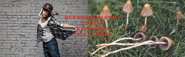 spice Заводоуковск