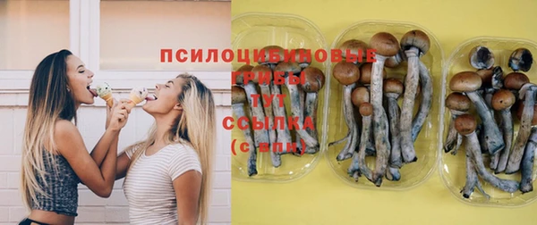 mdma Ельня